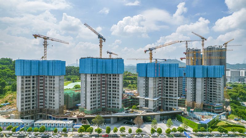 市政园林工程招标文件：获取途径与注意事项